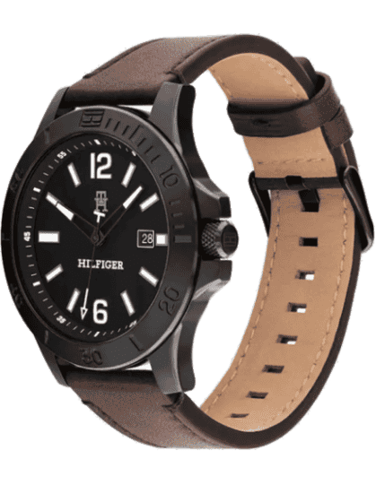 Buy Tommy Hilfiger TH1710530 Watch in India I Swiss Time House