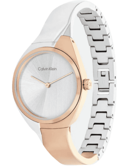 Watch best sale calvin klein