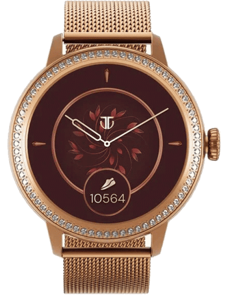 Buy Titan 2484SM03 Watch in India I Swiss Time House